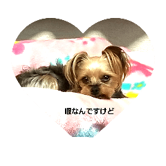 [LINEスタンプ] ビビstamp