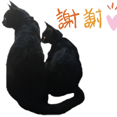 [LINEスタンプ] 黒猫スタンプ season1