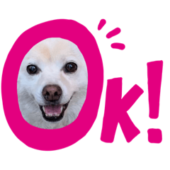 [LINEスタンプ] わんこメッセージ［家族用］