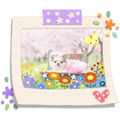[LINEスタンプ] Lili＆Melスタンプ