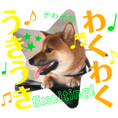 [LINEスタンプ] 柴犬 豆之進 日常STAMP☆【関西弁】其の四
