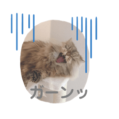 [LINEスタンプ] mochan's life4138