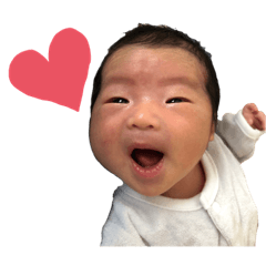 [LINEスタンプ] 赤ちゃんのいる暮らし 〜とらちゃん1〜