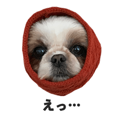 [LINEスタンプ] 気分屋ラッキーちゃん