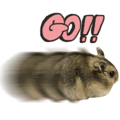[LINEスタンプ] ビップとラップとコップ
