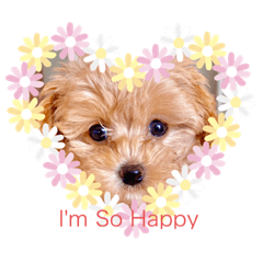 [LINEスタンプ] 可愛い仔犬たち