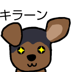 [LINEスタンプ] 耳おりヨーキー 日常会話