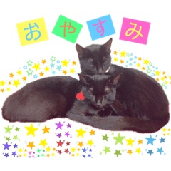 [LINEスタンプ] 黒ねこ《リオ♡キロ》