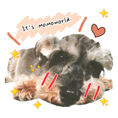 [LINEスタンプ] 毎日モモーちゃん♥
