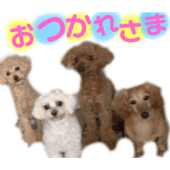 [LINEスタンプ] ラトレイジュ