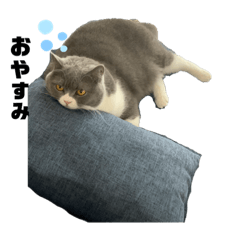 [LINEスタンプ] ひじきともやしの毎日②