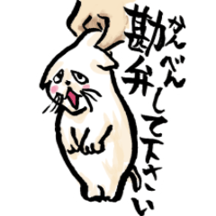[LINEスタンプ] 関西弁のネコさん