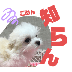 [LINEスタンプ] TSUJIMLTOワンワン