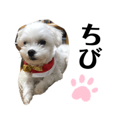 [LINEスタンプ] ちびちゃんの1日
