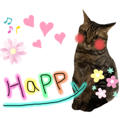 [LINEスタンプ] 森家のぐるちゃん