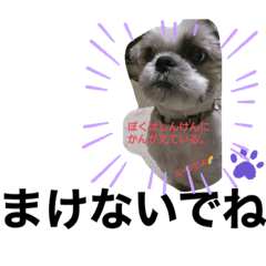 [LINEスタンプ] みことわんこ⑧