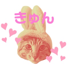 [LINEスタンプ] 僕が一番可愛いぞ