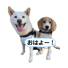 [LINEスタンプ] きぬブルスタンプⅠ