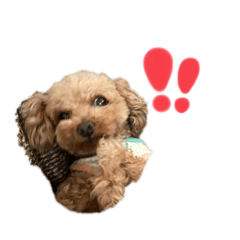 [LINEスタンプ] わたちナナ。よろしくね