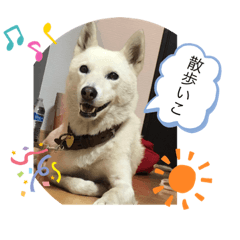 [LINEスタンプ] エノキ