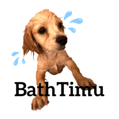 [LINEスタンプ] ぺき男スタンプ