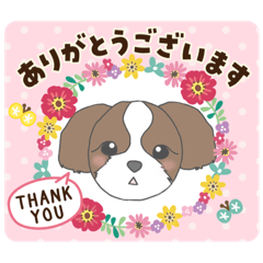 [LINEスタンプ] シーズー＊ふくまる イラストスタンプ♪2