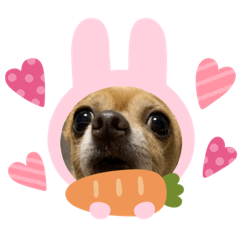 [LINEスタンプ] 私はポロン