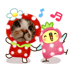 [LINEスタンプ] ノアCATスタンプ