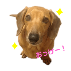 [LINEスタンプ] ごろーずスタンプ①