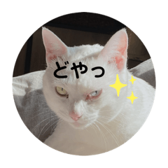 [LINEスタンプ] みりあ①