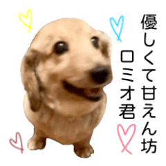 [LINEスタンプ] ダックスフンドのロミオ君