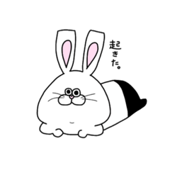 [LINEスタンプ] 名前はうさみょん