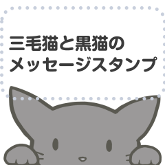 [LINEスタンプ] 三毛猫と黒猫のメッセージスタンプの画像（メイン）
