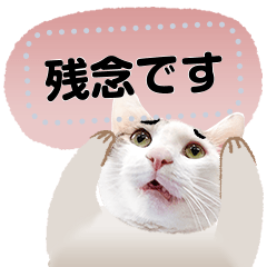 [LINEスタンプ] 大福は太った猫です/ m1