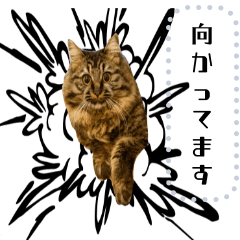 [LINEスタンプ] ねこのベル3の画像（メイン）