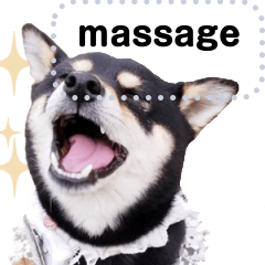 [LINEスタンプ] 表情豊かすぎる柴犬メッセージスタンプの画像（メイン）