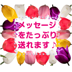 [LINEスタンプ] 春のメッセージ 桜とチューリップ添え