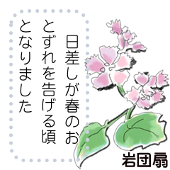 [LINEスタンプ] 季節の花のメッセージスタンプの画像（メイン）