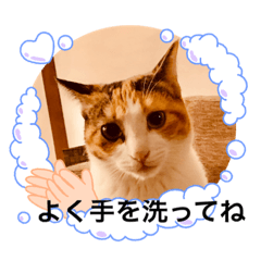 [LINEスタンプ] ミミ太郎と仲間たち