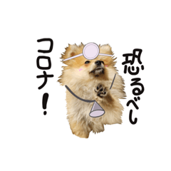 [LINEスタンプ] 新型コロナ 我が家 犬