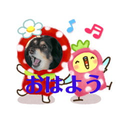 [LINEスタンプ] Love チワックス