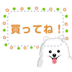 [LINEスタンプ] ポメラニアン(犬)のメッセージ 日本版の画像（メイン）