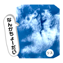 [LINEスタンプ] タロの雲（動物編）