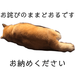 [LINEスタンプ] 柴犬アンちゃん04