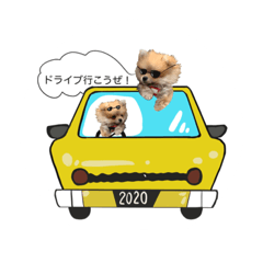 [LINEスタンプ] 我が犬 フィリップ