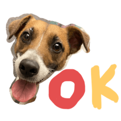[LINEスタンプ] ジャックのタープ