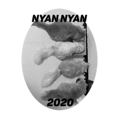 [LINEスタンプ] もにゃ王2020ニャン