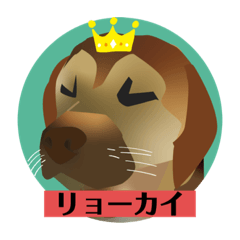 [LINEスタンプ] うちのいぬ<ダイゴ>