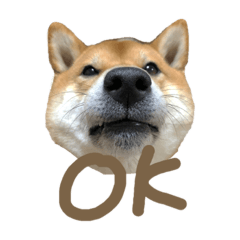 [LINEスタンプ] ぼく武蔵。