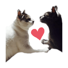 [LINEスタンプ] ちびとみに